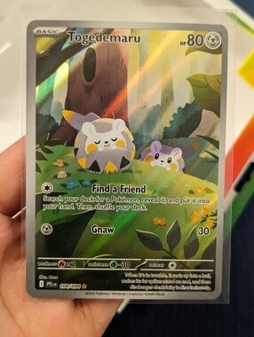 Pokemon Togedemaru 104 Phantasmal Flames Pokemon Card Holo